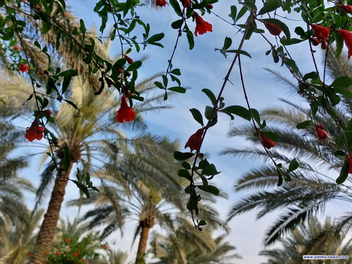 الطقس.. أجواء غائمة واستقرار في درجات الحرارة